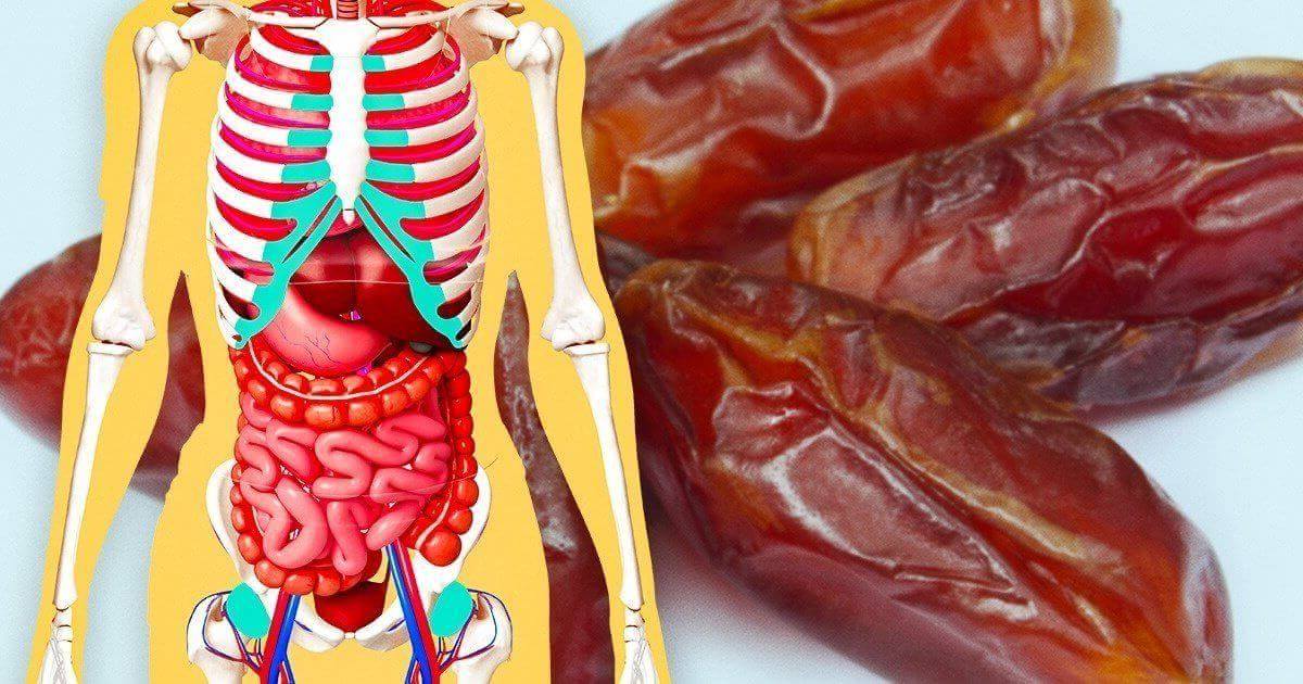Beneficios para la salud de comer dátiles