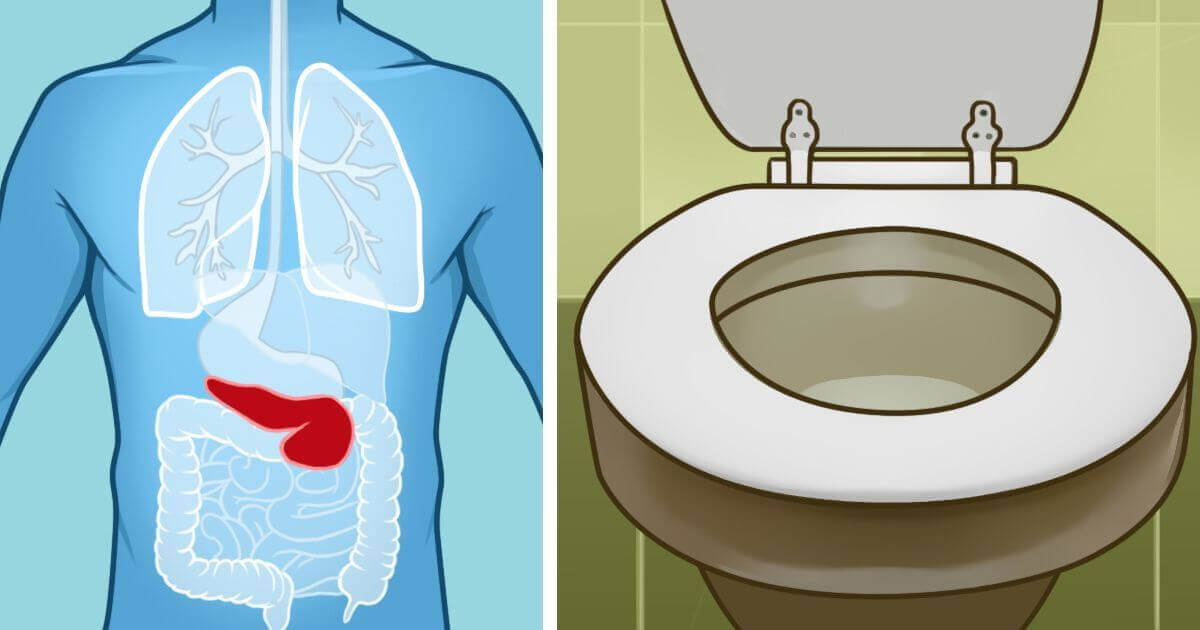 Señales de problemas pancreáticos y remedios caseros para tratar un páncreas enfermo